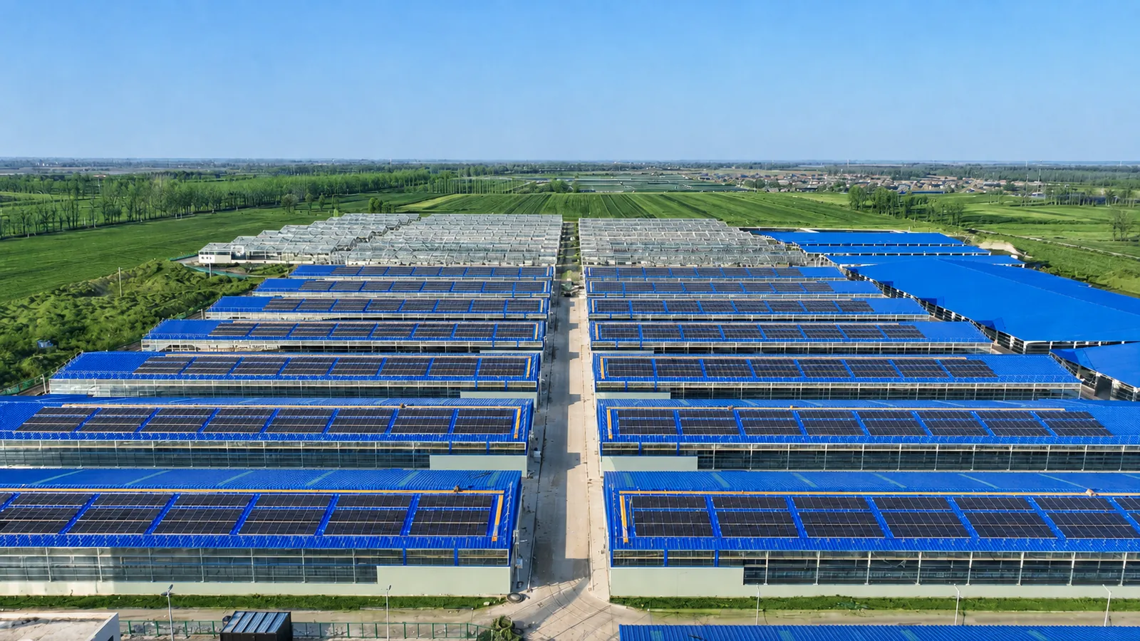Rows of portal-frame livestock houses with solar panels on the roofs