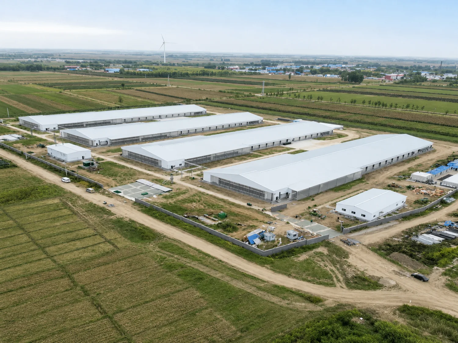 Aerial view of tunnel-ventilated broiler houses for the CP Group Hengshui project