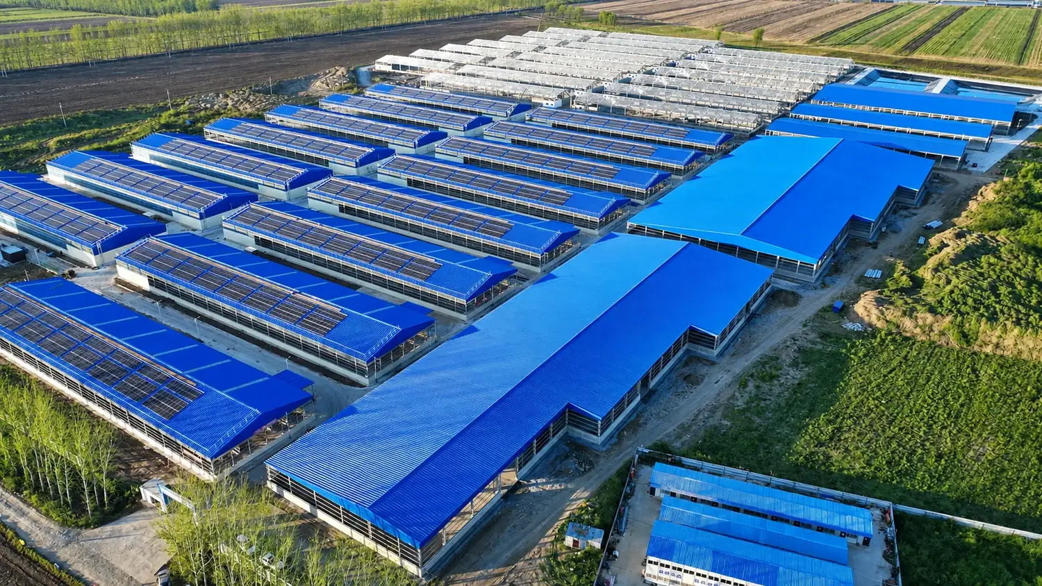 Aerial view of the Muguang Eco Livestock Base near Shenyang, portal-frame buildings with rooftop solar